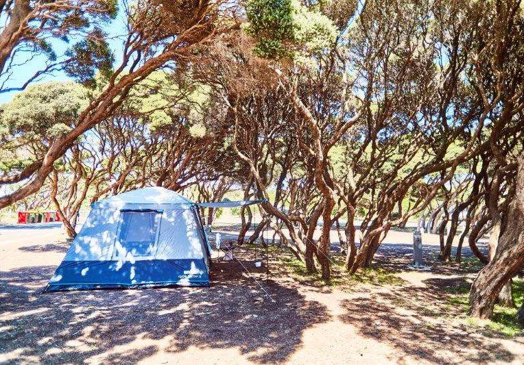 Bush camping sites