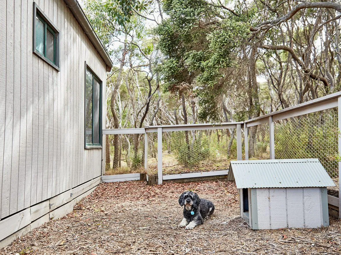 Fenced off dog area