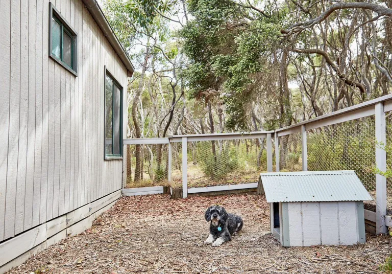 Fenced off dog area