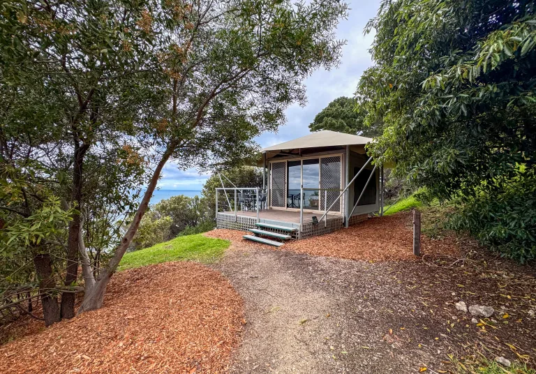 Lorne Eco Safari Tent nestled amongst trees