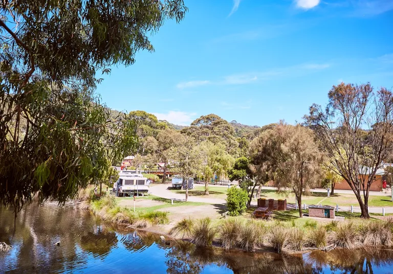 BBQs and river in Eskine Park