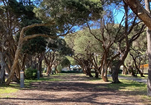 Avenue Sites